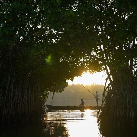 Kalloos Island Backwater Resort コッラム エクステリア 写真